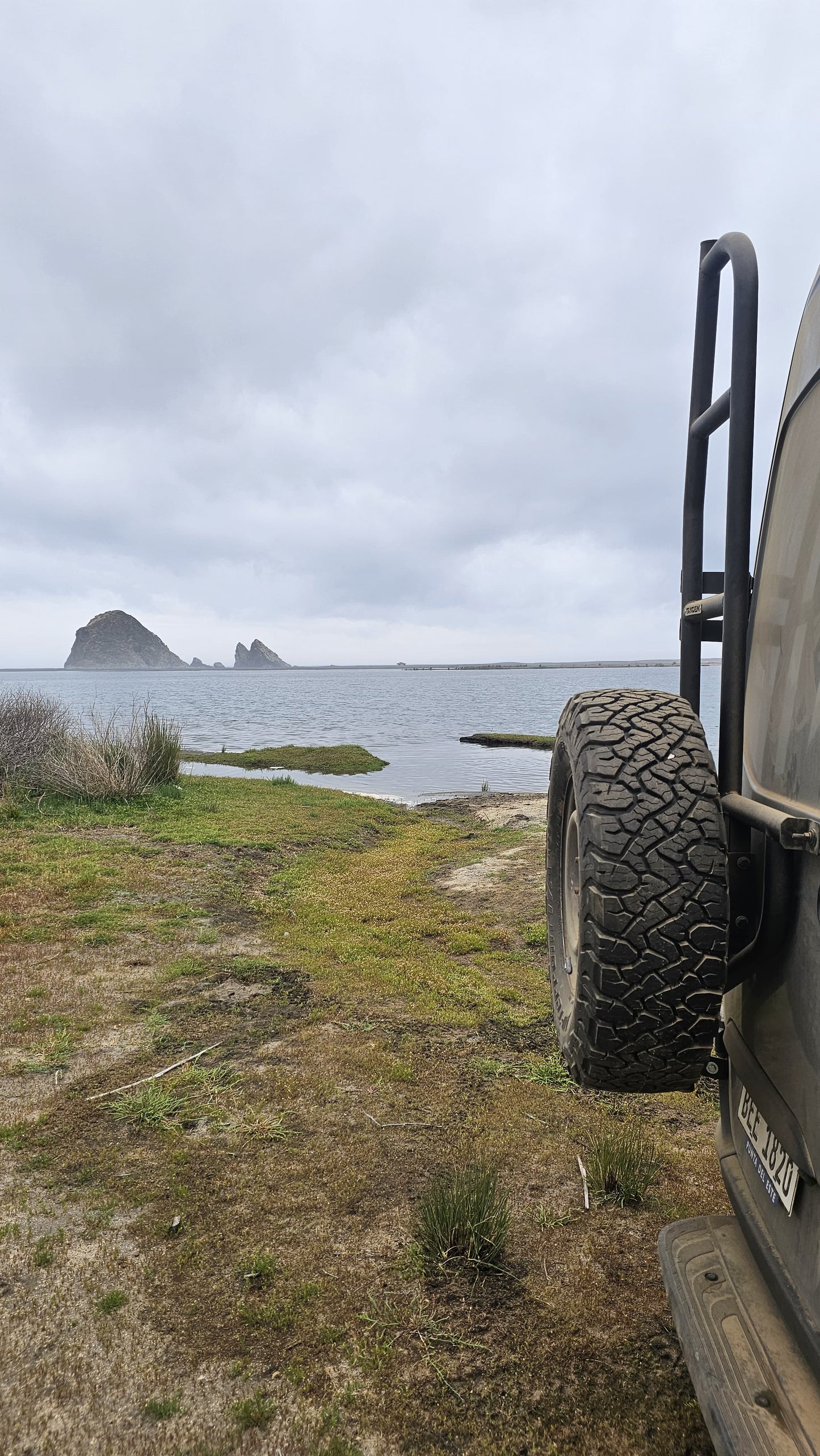 Escalera puerta trasera Sprinter