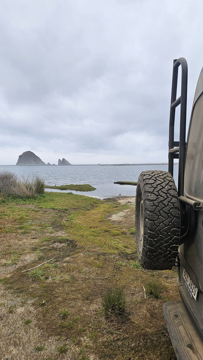 Escalera puerta trasera Sprinter